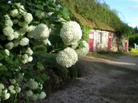 /album/fotos-tuinen/juni-2014-028-jpg/